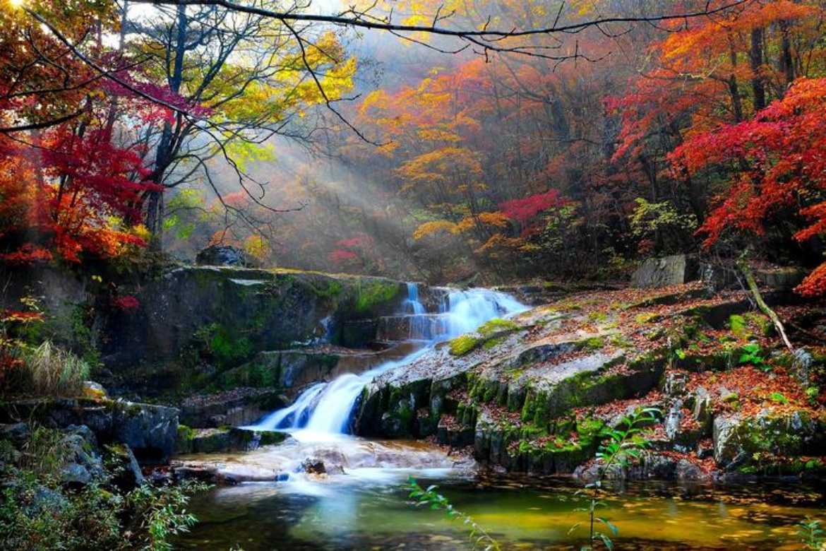 Guanmen Mountain Forest Park
